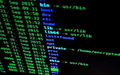 Linux Command Line Basics For WordPress Developers